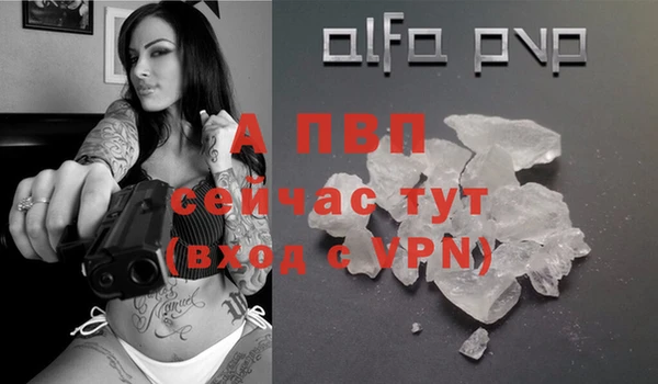 шишки Ладушкин