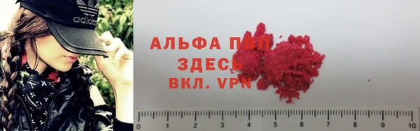 spice Липки