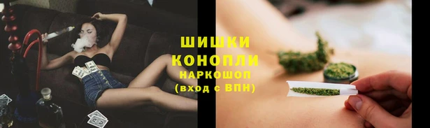 шишки Ладушкин